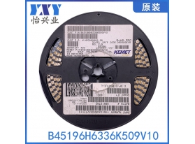 B45196H6336K509V10