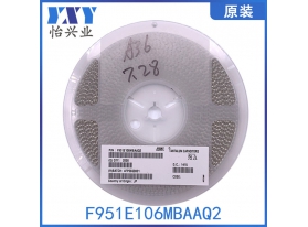 F951E106MBAAQ2
