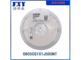 0805CG101J500NT